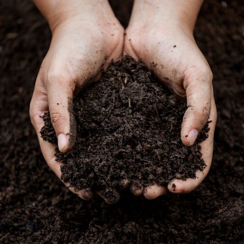 Vente paillis compost