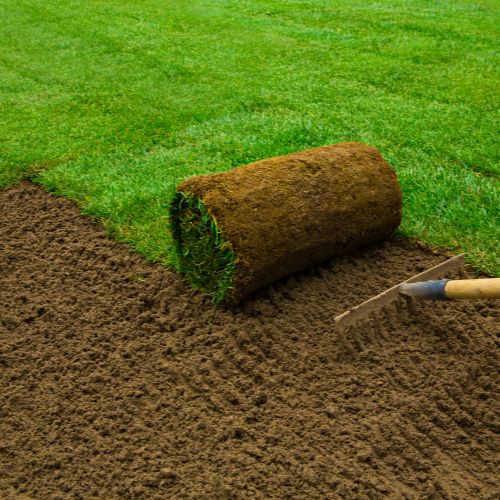 Entretien et tonte des pelouses