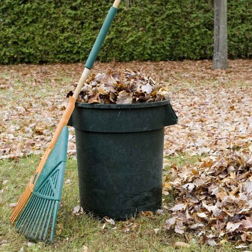 Ramassage des feuilles